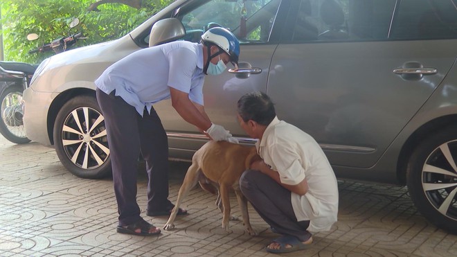 Đẩy mạnh tiêm phòng, bệnh dại tại TP. Hồ Chí Minh được kiểm soát hiệu quả - Ảnh 2.