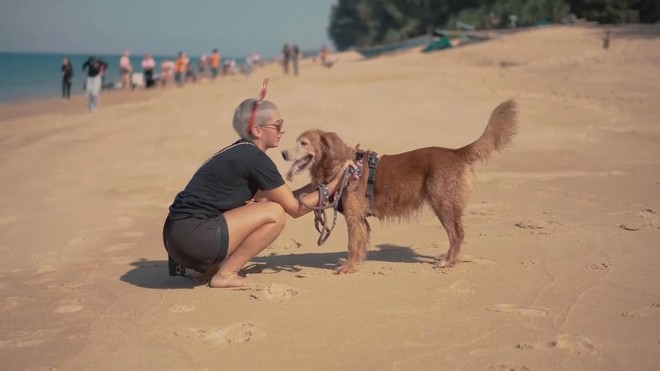 Buổi diễu hành của thú cưng mừng Giáng sinh trên bãi biển Phuket, Thái Lan - Ảnh 4.