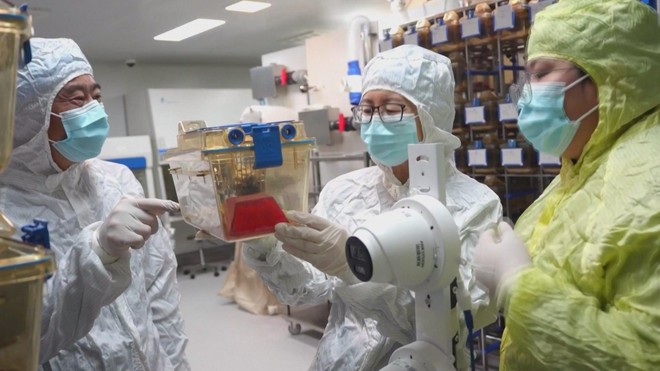 Con chuột sống trên trạm vũ trụ sinh con bình thường sau khi trở về Trái Đất- Ảnh 1.