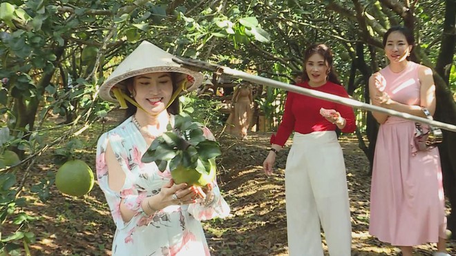 Thời sự HTV ngày 28/12/2025 | Du lịch Tết 2026: Tour trải nghiệm cá nhân, riêng tư "lên ngôi"- Ảnh 3.