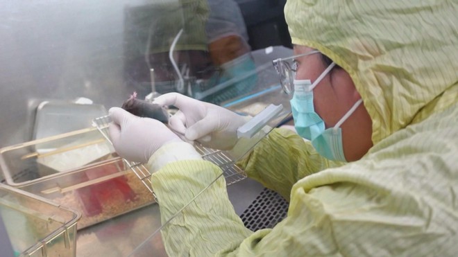 Con chuột sống trên trạm vũ trụ sinh con bình thường sau khi trở về Trái Đất- Ảnh 5.