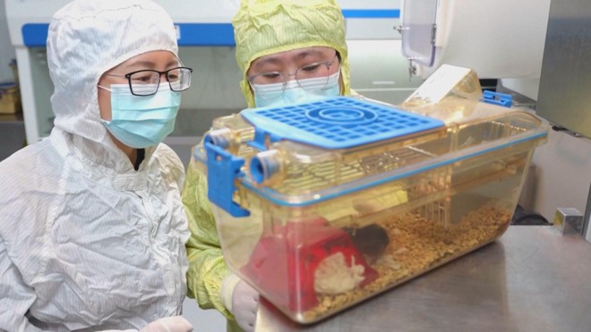 Con chuột sống trên trạm vũ trụ sinh con bình thường sau khi trở về Trái Đất- Ảnh 6.