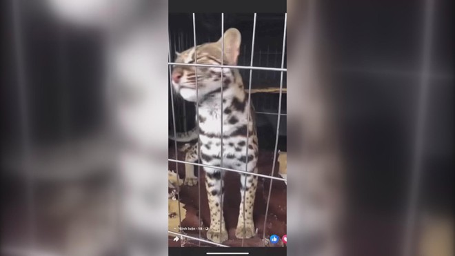 60 Giây ngày 28/12/2025 | Cháy bãi rác tự phát hàng trăm mét vuông trong khu dân cư ở TP. Hồ Chí Minh- Ảnh 7.