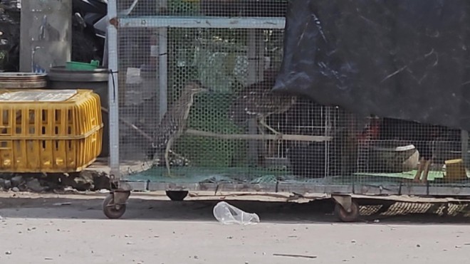 60 Giây ngày 28/12/2025 | Cháy bãi rác tự phát hàng trăm mét vuông trong khu dân cư ở TP. Hồ Chí Minh- Ảnh 5.