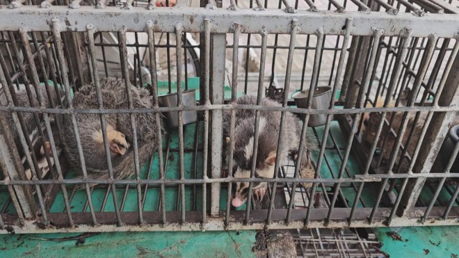 60 Giây ngày 28/12/2025 | Cháy bãi rác tự phát hàng trăm mét vuông trong khu dân cư ở TP. Hồ Chí Minh- Ảnh 6.