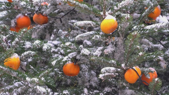 Tưng bừng không khí chuẩn bị đón năm mới tại các nước - Ảnh 6.