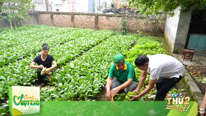 Cùng vượt khó - 20g20 tối nay (29/12) trên HTV7- Ảnh 4.
