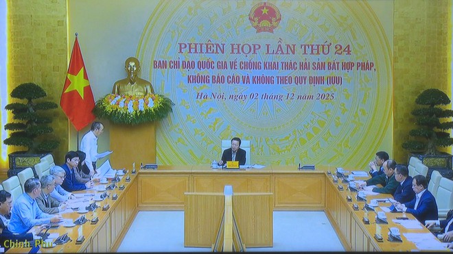 Tăng cường kiểm tra, xử lý nghiêm: Việt Nam đẩy mạnh chống khai thác hải sản trái phép - Ảnh 1.