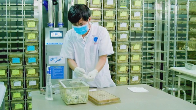 NewZgraphic: Đón chào chương thời sự đặc biệt ngày cuối năm! - Ảnh 7.