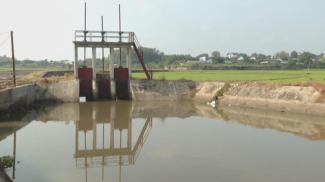 Nông dân TP. Hồ Chí Minh kỳ vọng mùa lúa Đông Xuân "được mùa, được giá" - Ảnh 4.