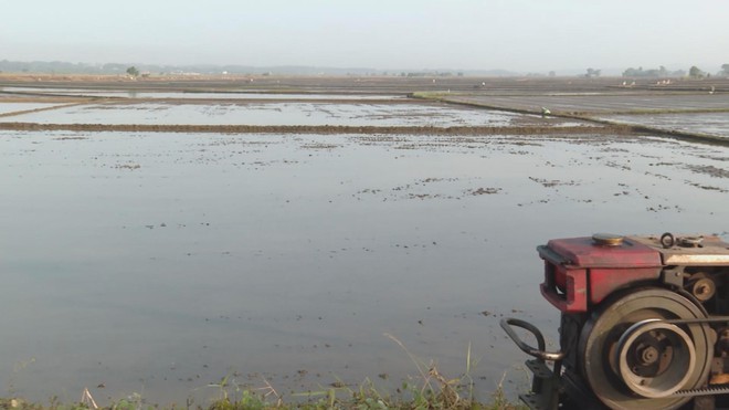 Nông dân TP. Hồ Chí Minh kỳ vọng mùa lúa Đông Xuân "được mùa, được giá" - Ảnh 5.