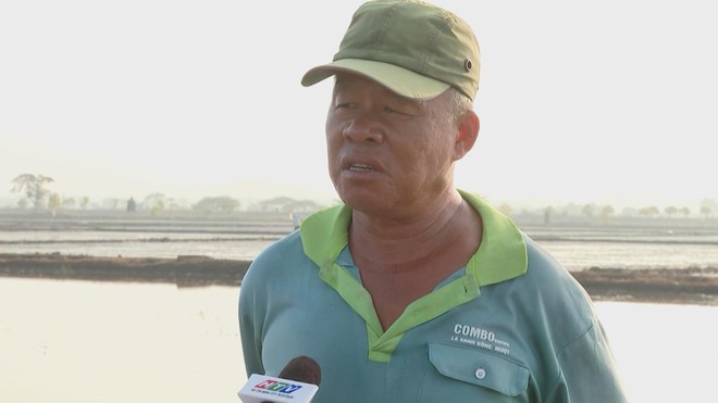 Nông dân TP. Hồ Chí Minh kỳ vọng mùa lúa Đông Xuân "được mùa, được giá" - Ảnh 1.