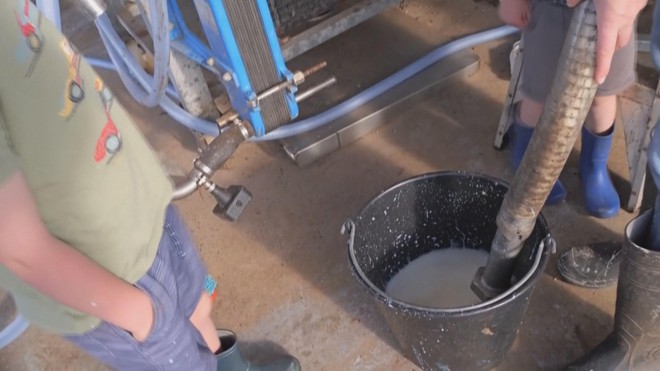 Australia áp dụng công nghệ vắt sữa bò tiên tiến - Ảnh 3.