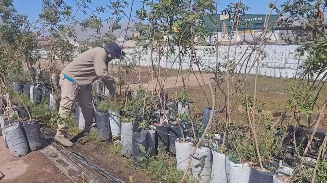 Nhu cầu hạt dẻ cười trên thế giới tăng mạnh - Ảnh 6.