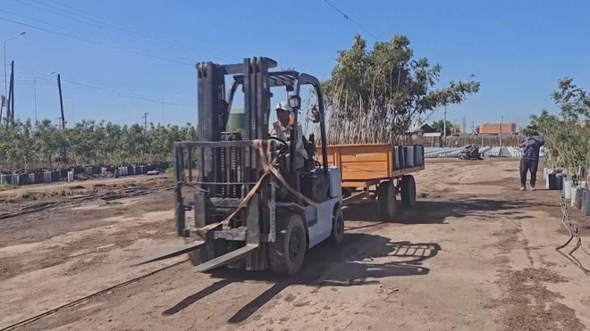 Nhu cầu hạt dẻ cười trên thế giới tăng mạnh - Ảnh 5.