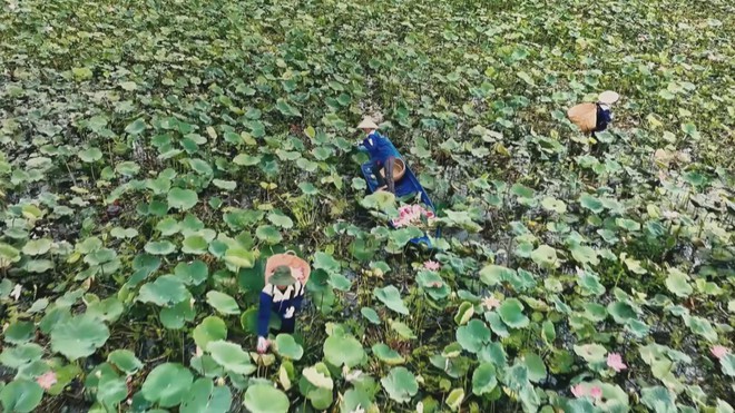 Thời sự HTV ngày 6/12/2025 | - Ảnh 3.