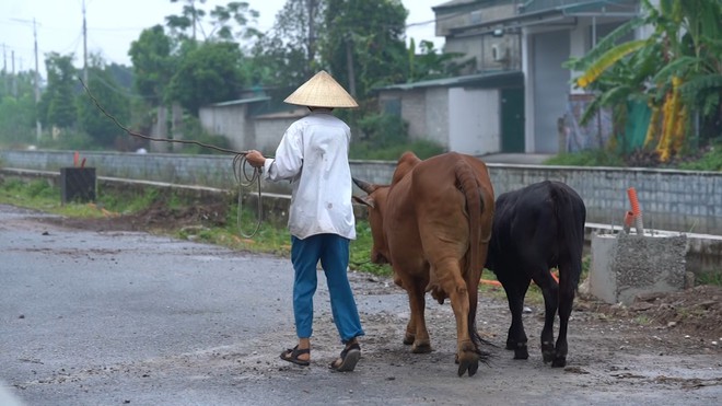 Quỳnh Anh chênh vênh khi cha mẹ bệnh tật, chị nghỉ học, cả nhà sống nhờ ông bà - Ảnh 7.