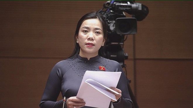 Cần cơ chế khuyến khích phát triển điện gió ngoài khơi, điện hạt nhân mô-đun nhỏ - Ảnh 5.