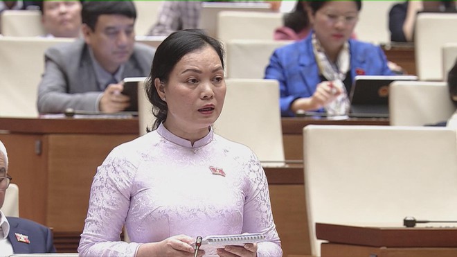 Cần cơ chế khuyến khích phát triển điện gió ngoài khơi, điện hạt nhân mô-đun nhỏ - Ảnh 3.