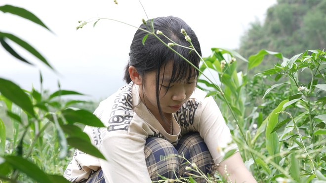 Chuyện cô bé 15 tuổi bổ củi, nhổ cỏ ngô, tưới ớt- Ảnh 10. Chuyện cô bé 15 tuổi bổ củi, nhổ cỏ ngô, tưới ớt- Ảnh 10.