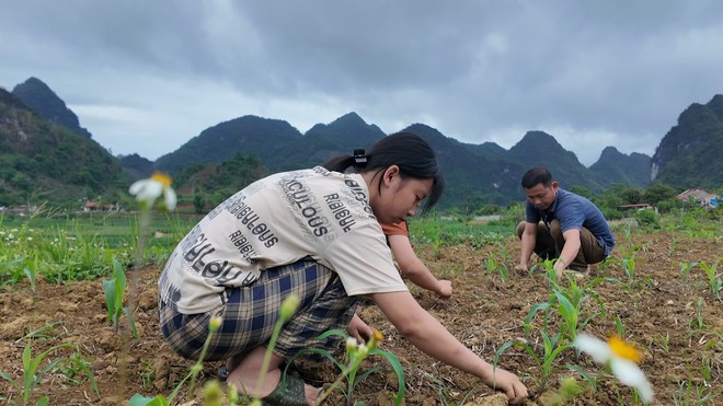 Chuyện cô bé 15 tuổi bổ củi, nhổ cỏ ngô, tưới ớt- Ảnh 4. Chuyện cô bé 15 tuổi bổ củi, nhổ cỏ ngô, tưới ớt- Ảnh 4.