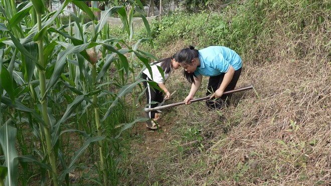 Cô bé mồ côi bị u máu, kiên cường vì muốn là chỗ dựa của em - Ảnh 1.