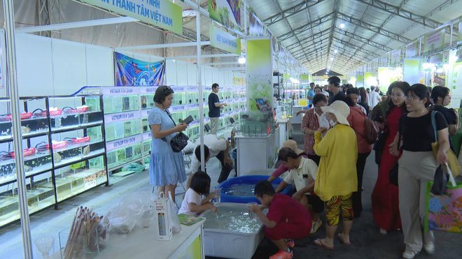 Tuần lễ Giống, Nông nghiệp Công nghệ cao và Sinh vật cảnh năm 2025 có gì hay? - Ảnh 6.