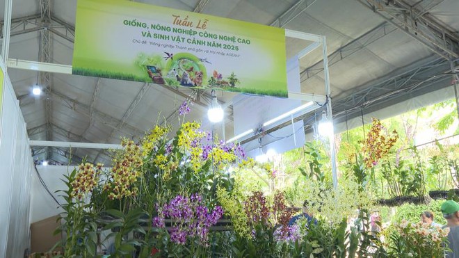 Tuần lễ Giống, Nông nghiệp Công nghệ cao và Sinh vật cảnh năm 2025 có gì hay? - Ảnh 2.