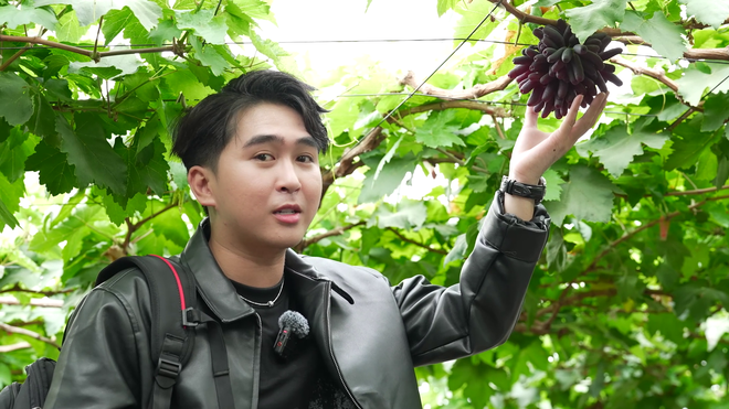 Từ hái nho đến thưởng thức tiệc "dừa nhà trồng" tại Suối Tiên - Ảnh 3.