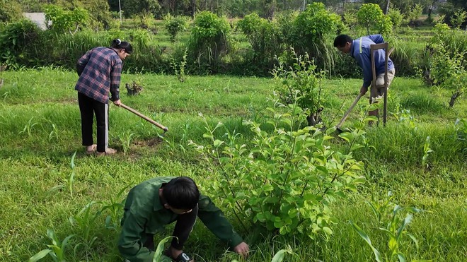 Xót xa cảnh người cha khuyết tật một mình nuôi hai con nhỏ - Ảnh 1.