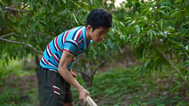Bùi Dương Chính gánh nước từ trên đồi và ước mơ làm phiên dịch viên - Ảnh 4.