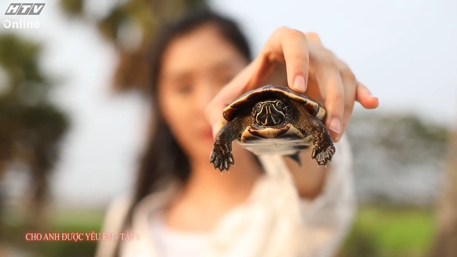 Vừa ngọt vừa hài với "Cho anh được yêu em" - Ảnh 2.
