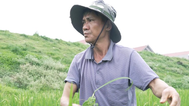Vi Quốc Việt: Cậu bé Nùng mồ côi mẹ và ước mơ học công nghệ thông tin - Ảnh 5.