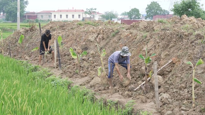 Vi Quốc Việt: Cậu bé Nùng mồ côi mẹ và ước mơ học công nghệ thông tin - Ảnh 6.
