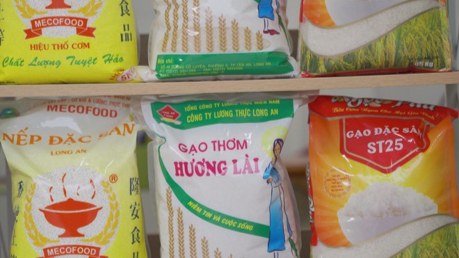 Đảng bộ Tổng công ty Lương thực miền Nam Tổ chức Đại hội lần thứ IV, nhiệm kỳ 2025 - 2030 - Ảnh 4.
