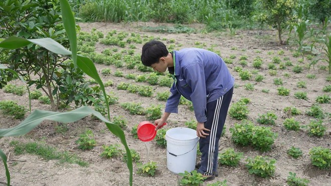 Cha mất, mẹ ốm nặng, em Nguyễn Danh Tuấn nỗ lực vượt qua nghịch cảnh - Ảnh 3.