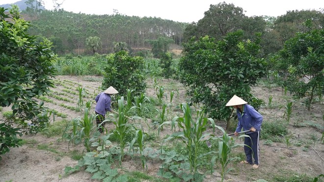 Cha mất, mẹ ốm nặng, em Nguyễn Danh Tuấn nỗ lực vượt qua nghịch cảnh - Ảnh 4.