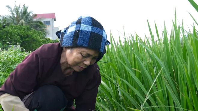 Bà cụ 70 tuổi gồng gánh nuôi chồng bệnh và hai cháu mồ côi - Ảnh 4.