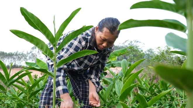 Chuyện người mẹ nghị lực, vừa chạy thận vừa nuôi hai con mồ côi - Ảnh 5.