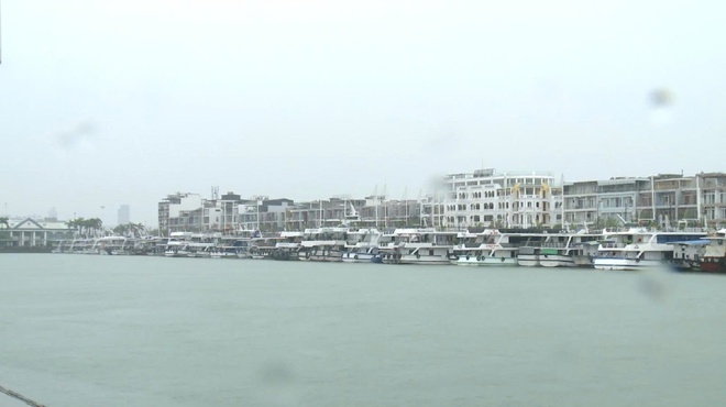 Quảng Ninh tích cực triển khai công tác tìm kiếm cứu nạn và ứng phó cơn bão số 3 - Ảnh 2.
