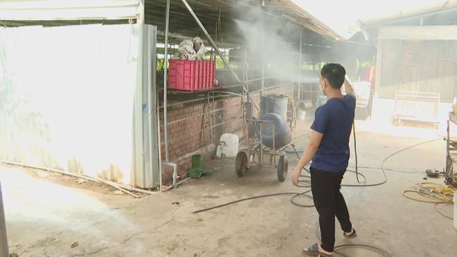 Người chăn nuôi chủ động phòng chống dịch tả heo Châu Phi - Ảnh 6.