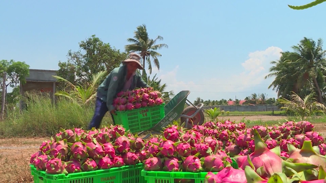 Tìm giải pháp khai thông nông sản Việt sang Châu Âu - Ảnh 2.