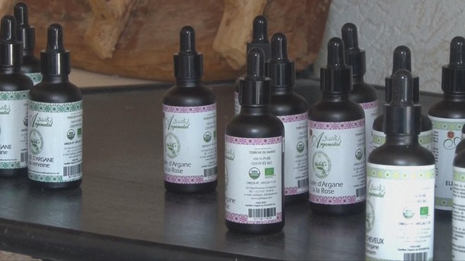 Cây Argan Ma-rốc đang trên bờ vực tuyệt chủng - Ảnh 6.
