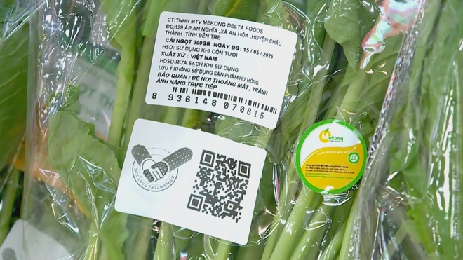 “Tick xanh trách nhiệm” - Giải pháp thanh lọc thị trường thương mại điện tử tại TP.HCM - Ảnh 5.