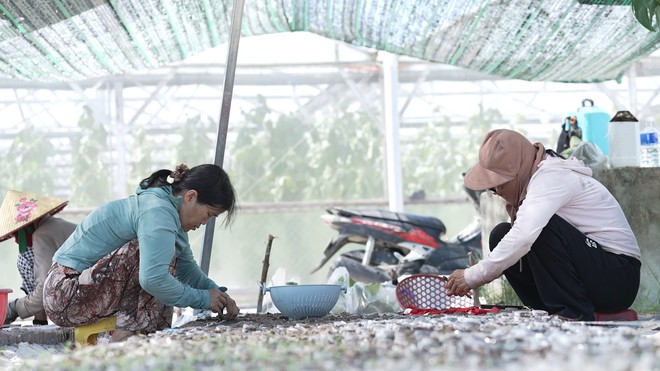 Em Minh Hiếu: Cha em bị chấn thương sọ não, mẹ một mình gánh mọi nỗi lo - Ảnh 3.