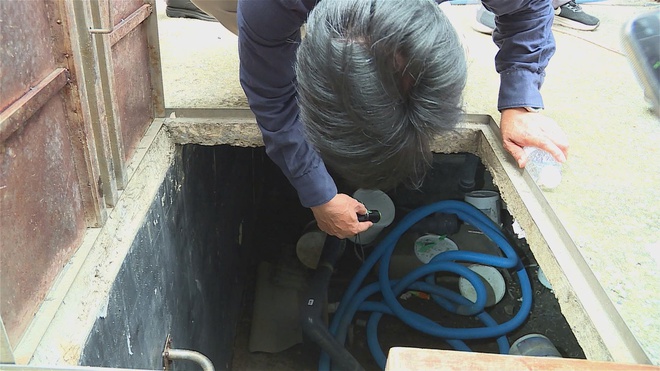 TP.HCM chủ động ứng phó, giám sát dịch bệnh Chikungunya từ tuyến cơ sở - Ảnh 2.