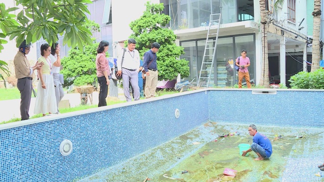 TP.HCM chủ động ứng phó, giám sát dịch bệnh Chikungunya từ tuyến cơ sở - Ảnh 3.