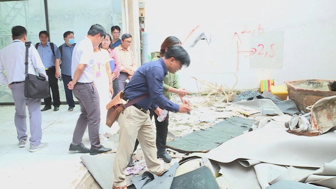 TP.HCM chủ động ứng phó, giám sát dịch bệnh Chikungunya từ tuyến cơ sở - Ảnh 1.