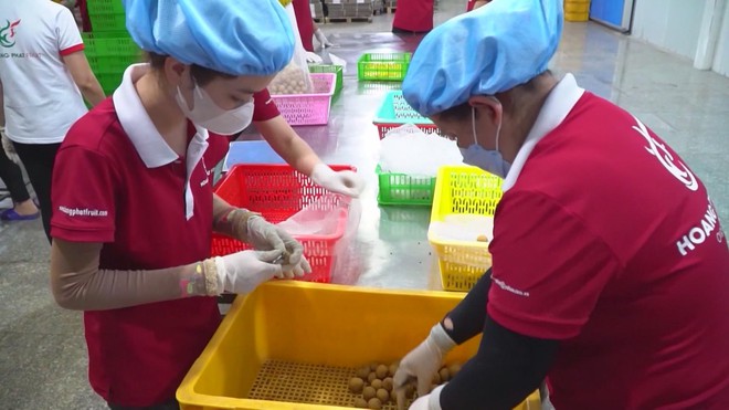 Ngành nông - lâm - thủy sản tìm giải pháp tăng trưởng xuất khẩu cuối năm - Ảnh 1.