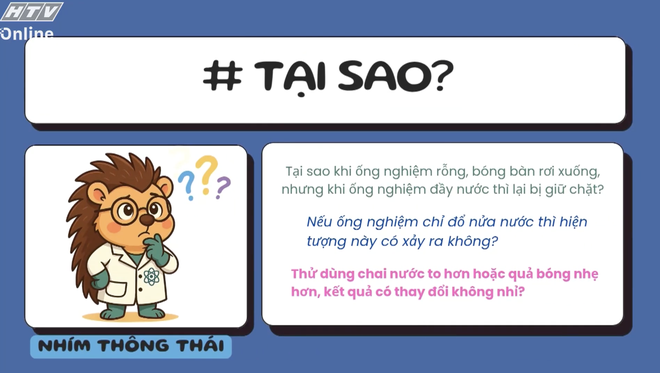 Học vẽ môn bắn cung - Ảnh 5.